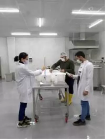 SUBÜ bünyesinde Pamukova kendi yöresel süt ürünlerini üretecek SUBÜ bünyesinde Pamukova kendi yöresel süt ürünlerini üretecek