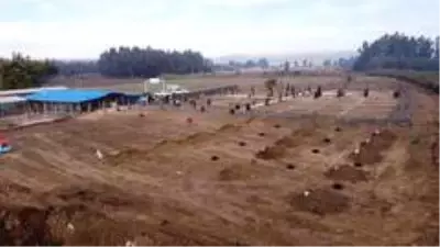 Tarsus'ta hayvan mezarlığı hizmete girdi Tarsus'ta hayvan mezarlığı hizmete girdi