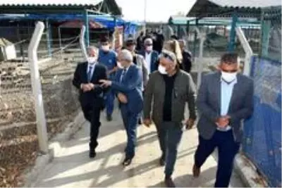 Tarsus'ta hayvan mezarlığı hizmete girdi Tarsus'ta hayvan mezarlığı hizmete girdi