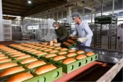 Türkiye'nin 'ensiyez ekmeği' halk ekmek'ten Türkiye'nin 'ensiyez ekmeği' halk ekmek'ten