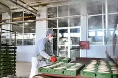 Türkiye'nin 'ensiyez ekmeği' halk ekmek'ten Türkiye'nin 'ensiyez ekmeği' halk ekmek'ten