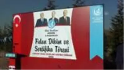Ülkü Ocaklarından fidan dikim seferberliği Ülkü Ocaklarından fidan dikim seferberliği