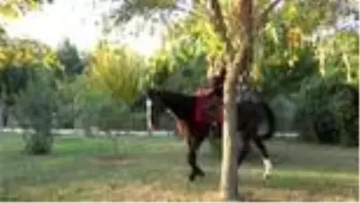 - Wilma Elles'in oynadığı film için Antalya tercih edildi - Wilma Elles'in oynadığı film için Antalya tercih edildi