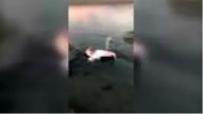 Yaralı bulunan flamingo koruma altına alındı (2) Yaralı bulunan flamingo koruma altına alındı (2)