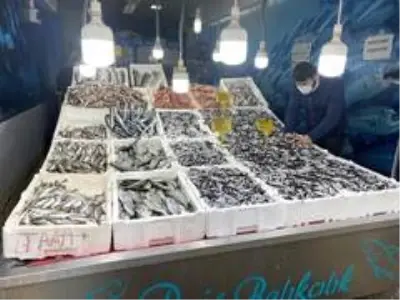 Yerli hamsi 10 TL Yerli hamsi 10 TL