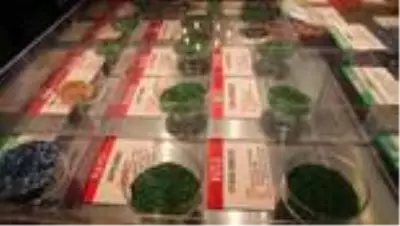 Yerli üretim tarım marketi açıldı