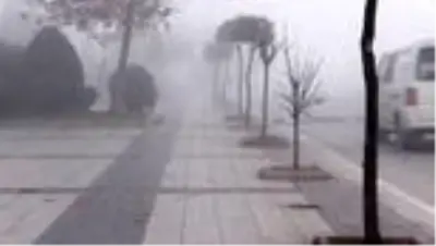 Yoğun sis etkili oluyor Yoğun sis etkili oluyor