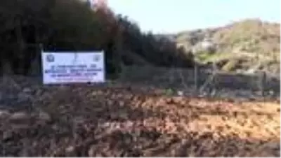 ZONGULDAK - İzmir depreminde hayatını kaybedenlerin anısına 116 fidan dikildi ZONGULDAK - İzmir depreminde hayatını kaybedenlerin anısına 116 fidan dikildi