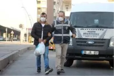 Son dakika haber | 20 yıl kesinleşmiş hapis cezası bulunan ev faresi yakalandı Son dakika haber | 20 yıl kesinleşmiş hapis cezası bulunan ev faresi yakalandı