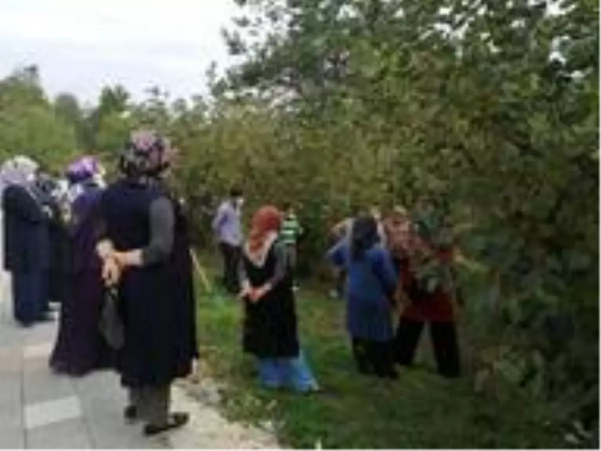 24 çiftçiye budama ve gübreleme eğitimi verildi