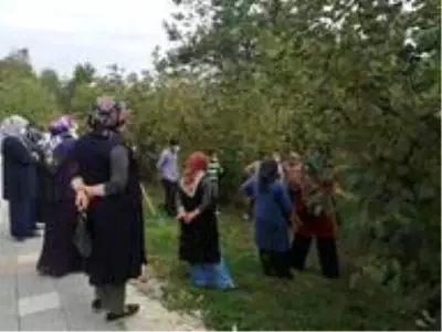 24 çiftçiye budama ve gübreleme eğitimi verildi 24 çiftçiye budama ve gübreleme eğitimi verildi
