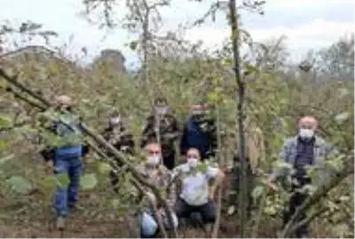 24 çiftçiye budama ve gübreleme eğitimi verildi 24 çiftçiye budama ve gübreleme eğitimi verildi