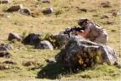 6 yayla evi soyuldu, komandolar operasyonları sıklaştırdı 6 yayla evi soyuldu, komandolar operasyonları sıklaştırdı