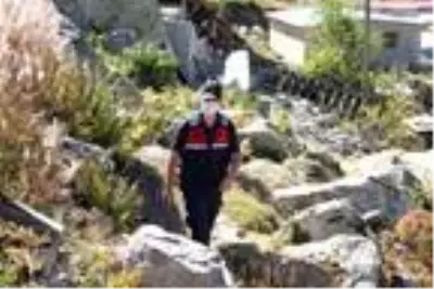 6 yayla evi soyuldu, komandolar operasyonları sıklaştırdı 6 yayla evi soyuldu, komandolar operasyonları sıklaştırdı