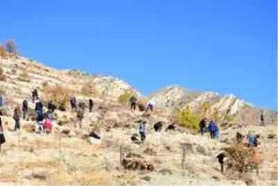 ABAD katkısıyla Erzincan'da bir dizi proje hayata geçirildi ABAD katkısıyla Erzincan'da bir dizi proje hayata geçirildi