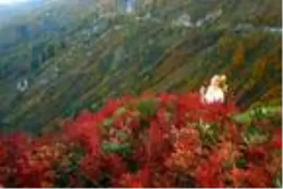 Artvin'de sonbahar güzelliği Artvin'de sonbahar güzelliği