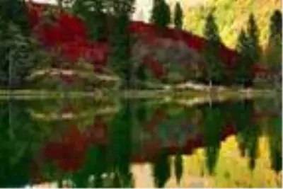 Artvin'de sonbahar güzelliği Artvin'de sonbahar güzelliği