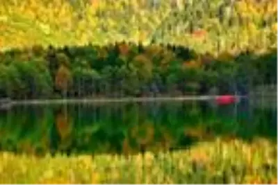 Artvin'de sonbahar güzelliği Artvin'de sonbahar güzelliği