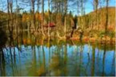 Artvin'de sonbahar güzelliği Artvin'de sonbahar güzelliği