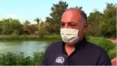 Aşı, Kovid-19 vaka sayılarını tersine çevirecek Aşı, Kovid-19 vaka sayılarını tersine çevirecek