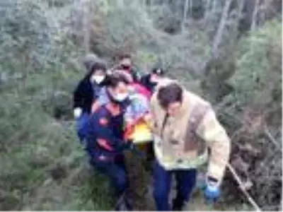 Kayışdağı Ormanı'nda mantar toplarken yere düşen yaşlı kadının ayağı kırıldı Kayışdağı Ormanı'nda mantar toplarken yere düşen yaşlı kadının ayağı kırıldı