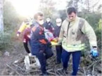Kayışdağı Ormanı'nda mantar toplarken yere düşen yaşlı kadının ayağı kırıldı Kayışdağı Ormanı'nda mantar toplarken yere düşen yaşlı kadının ayağı kırıldı