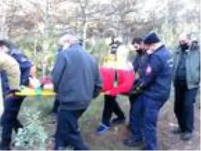 Kayışdağı Ormanı'nda mantar toplarken yere düşen yaşlı kadının ayağı kırıldı Kayışdağı Ormanı'nda mantar toplarken yere düşen yaşlı kadının ayağı kırıldı