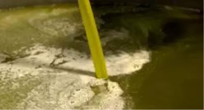 Ayvalık Zeytinyağı'nı taklit eden tağşişli markalarla savaş başladı Ayvalık Zeytinyağı'nı taklit eden tağşişli markalarla savaş başladı