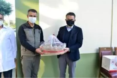 Son dakika... Bakan Pakdemirli Mersin'de incelemelerde bulundu Son dakika... Bakan Pakdemirli Mersin'de incelemelerde bulundu
