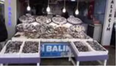 Balık çeşitleri vatandaşlardan ilgi görüyor Balık çeşitleri vatandaşlardan ilgi görüyor