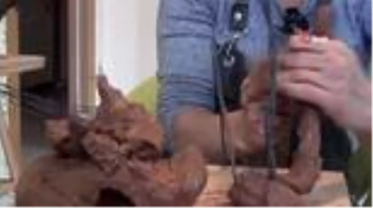 Bir elinde şırınga bir elinde fırçayla hem hastaları iyileştiriyor hem de sanatını yapıyor