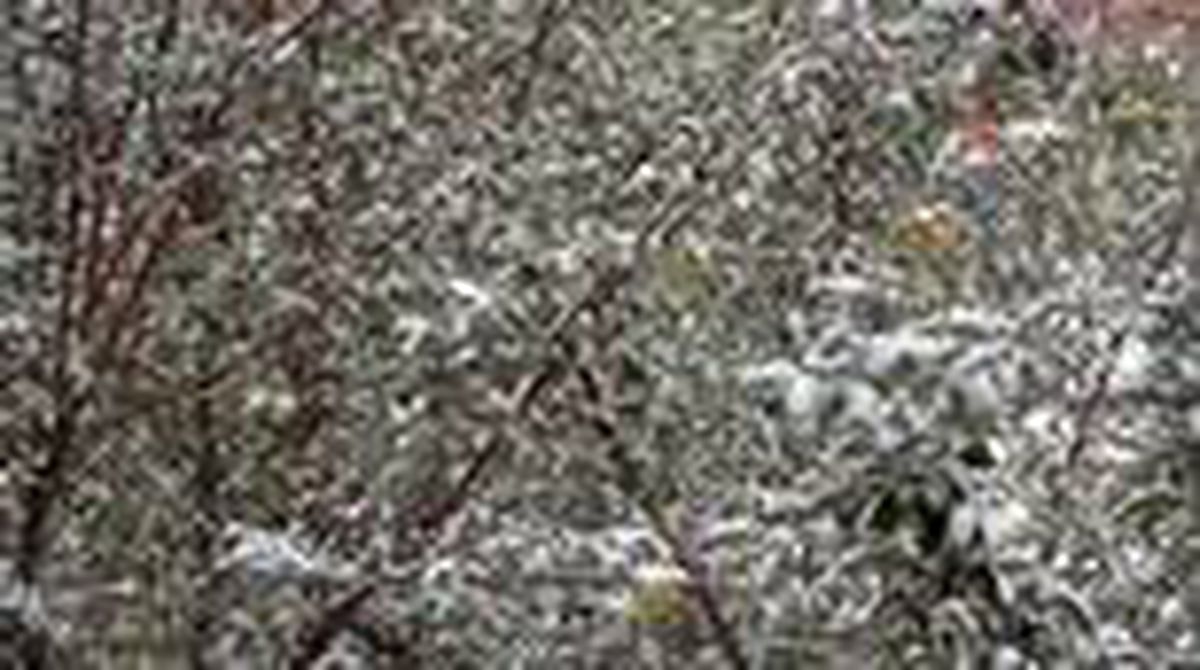 Bitlis'e mevsimin ilk karı yağdı