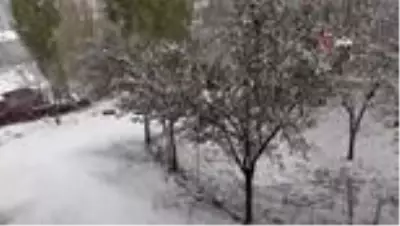 Bitlis'e mevsimin ilk karı yağdı Bitlis'e mevsimin ilk karı yağdı
