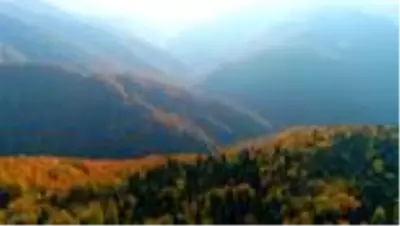 Çam Dağı güz renkleriyle görsel şölen sunuyor Çam Dağı güz renkleriyle görsel şölen sunuyor