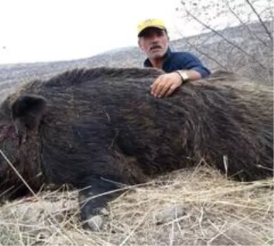 Son dakika haberi... Domuz avında korkunç kaza: Arkadaşının tüfeğinden çıkan mermi başına isabet etti Son dakika haberi... Domuz avında korkunç kaza: Arkadaşının tüfeğinden çıkan mermi başına isabet etti