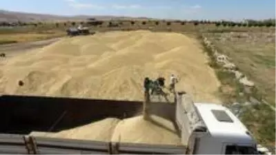 Erzurum, Erzincan ve Ağrı'da sulama sezonu tamamlandı Erzurum, Erzincan ve Ağrı'da sulama sezonu tamamlandı