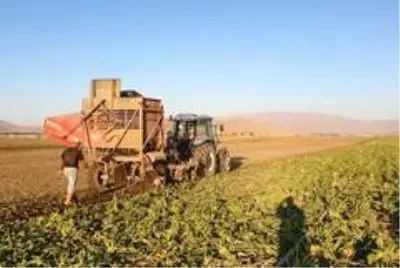 Erzurum, Erzincan ve Ağrı'da sulama sezonu tamamlandı Erzurum, Erzincan ve Ağrı'da sulama sezonu tamamlandı