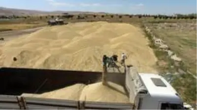 Erzurum, Erzincan ve Ağrı'da sulama sezonu tamamlandı Erzurum, Erzincan ve Ağrı'da sulama sezonu tamamlandı