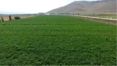 Erzurum, Erzincan ve Ağrı'da sulama sezonu tamamlandı Erzurum, Erzincan ve Ağrı'da sulama sezonu tamamlandı