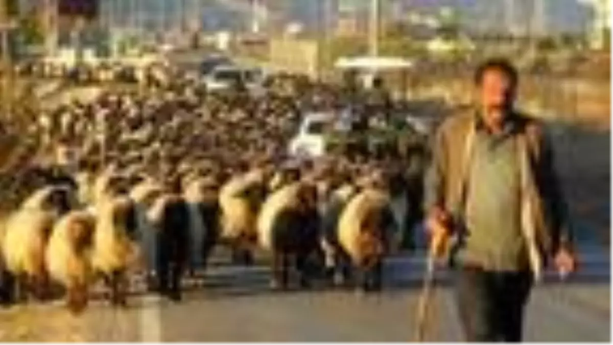 Göçerlerin zorlu dönüş yolculuğu sürüyor