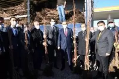 Adıyaman'da çiftçilere Trabzon hurması fidanı dağıtıldı Adıyaman'da çiftçilere Trabzon hurması fidanı dağıtıldı