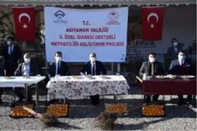 Adıyaman'da çiftçilere Trabzon hurması fidanı dağıtıldı Adıyaman'da çiftçilere Trabzon hurması fidanı dağıtıldı