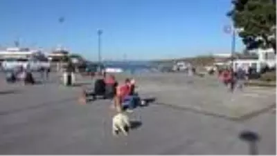 Güneş korona virüsü unutturdu Güneş korona virüsü unutturdu