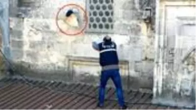 Işıkları sökülüp, çeşmesi kırılan 600 yıllık Şahmelek Camii'ni talan edenler geride sadece bir kasket bıraktı Işıkları sökülüp, çeşmesi kırılan 600 yıllık Şahmelek Camii'ni talan edenler geride sadece bir kasket bıraktı