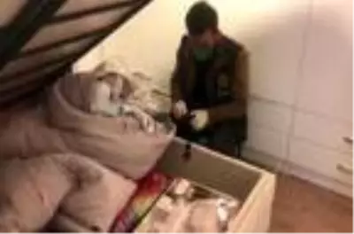 İstanbul'da yasa dışı bahis operasyonu; Şüpheliler böyle yakalandı İstanbul'da yasa dışı bahis operasyonu; Şüpheliler böyle yakalandı