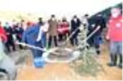 İzmir depreminde hayatını kaybeden116 kişi anısına fidan dikildi İzmir depreminde hayatını kaybeden116 kişi anısına fidan dikildi