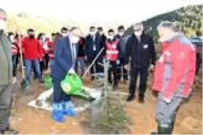 İzmir depreminde hayatını kaybeden116 kişi anısına fidan dikildi İzmir depreminde hayatını kaybeden116 kişi anısına fidan dikildi