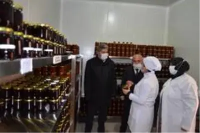 Kadın çiftçiler hem üretiyor hem de ev ekonomilerine katkı sunuyor Kadın çiftçiler hem üretiyor hem de ev ekonomilerine katkı sunuyor