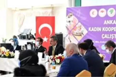 Kadın Kooperatifleri tek çatı altında toplanıyor Kadın Kooperatifleri tek çatı altında toplanıyor