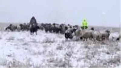 Kar yağışına hazırlıksız yakalanan çobanlar zor anlar yaşadı Kar yağışına hazırlıksız yakalanan çobanlar zor anlar yaşadı